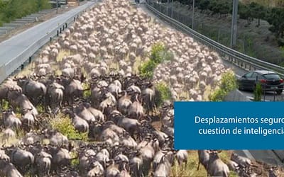 Desplazamientos seguros, cuestión de inteligencia.