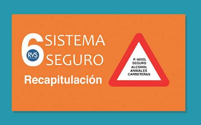 Sistema Seguro RVS: 6ª entrega, Recapitulación