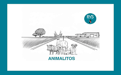 Animalitos