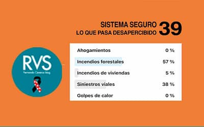 Sistema Seguro RVS: 39ª entrega: Lo que pasa desapercibido.
